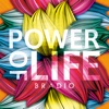 BRADIO - Flash Light Baby