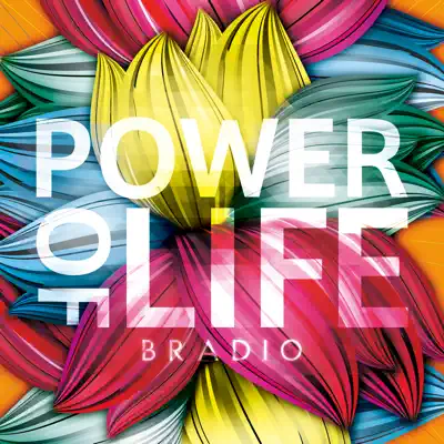 POWER OF LIFE - Bradio
