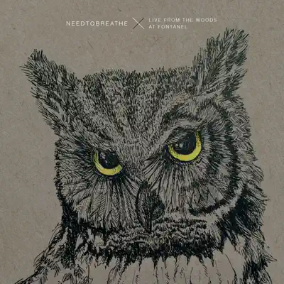 Live From the Woods - Needtobreathe