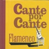 Cante por Cante Flamenco, 2014