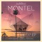 U Can Do It! (Waifs & Strays Remix) - Montel lyrics