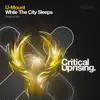 Stream & download While the City Sleeps - Single