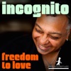 Freedom to Love - Single