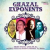 Ghazal Exponents, 2013