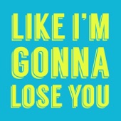 Like I'm Gonna Lose You (Accoustic Mix) artwork