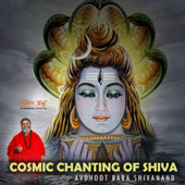 ShivYog Chants Cosmic Chanting of Shiva - Avdhoot Baba Shivanand