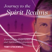 Journey to the Spirit Realms artwork