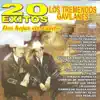 20 éxitos dos hojas sin rumbo album lyrics, reviews, download