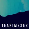 Tearimixes - EP album lyrics, reviews, download