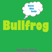Dusty Blue Socks - Bullfrog