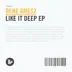 Like It Deep - Single album cover