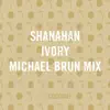 Stream & download Ivory (Michael Brun Mix) - Single