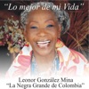 Lo Mejor de Mi Vida: La Negra Grande de Colombia, 2014