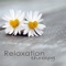 New Sensation - Relaxation Personal Guru lyrics