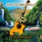 Shadow & Light - Jim Stubblefield lyrics