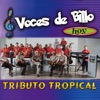 Tributo Tropical