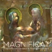 Magnificat: VI. Suscepit Israel artwork