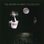The Sisters of Mercy - Lucretia My Reflection (Vinyl Version)
