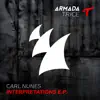 Alive (feat. Quilla) [Carl Nunes Remix] song lyrics