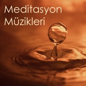 Meditasyon Müzikleri artwork