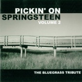 Pickin' On Bruce Springsteen Volume 2: The Bluegrass Tribute artwork
