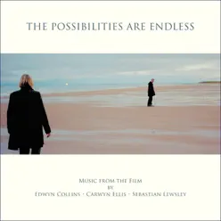 The Possibilities Are Endless - Edwyn Collins