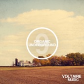 Organic Underground Issue 9 artwork