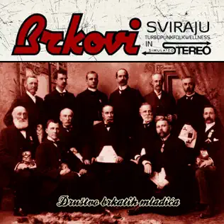 last ned album Brkovi - Društvo Brkatih Mladića