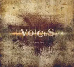 Voices by Volume Five album reviews, ratings, credits