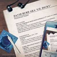 Lil Dicky - Professional Rapper artwork