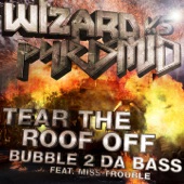 Tear the Roof Off artwork