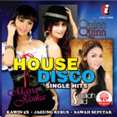 House Disco Single Hits