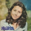 Nilüfer '74, 1974