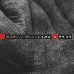 Lifelines, Vol. 1 / 1991-1998 (The Extended Versions) - In Strict Confidence