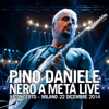 Nero a metà live - Il Concerto - Milano, 22 dicembre 2014 - Pino Daniele