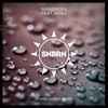 Raindrops (feat. Kerli) [Gianni Kosta Remix] - Single, 2015