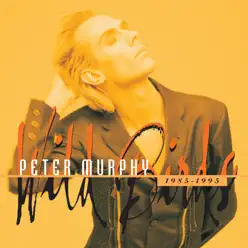 Wild Birds - Peter Murphy