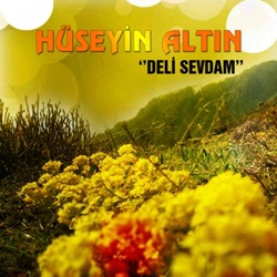 Hüseyin Altın - Düşmanlara Ne Gerek Var