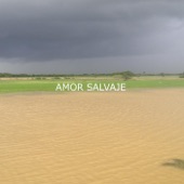 Amor Salvaje artwork