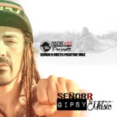 Gipsy Reggae Music (with Positive Vibz) artwork