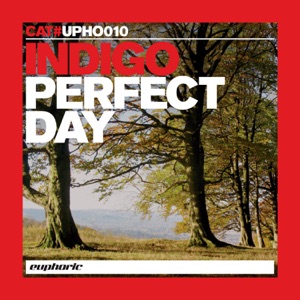 Indigo - Perfect Day (Almighty Anthem Radio Edit) - Line Dance Music