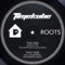 Roots (Audiometrics Remix) - TimeKube lyrics
