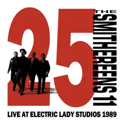 Smithereens 11 25th Anniversary Live At Electric Lady 1989 - The Smithereens