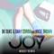 Joy (feat. Angie Brown) - BK Duke & Dany Cohiba lyrics