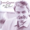 James Galway - Unbreak My Heart, 2014