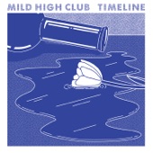 Mild High Club - Club Intro