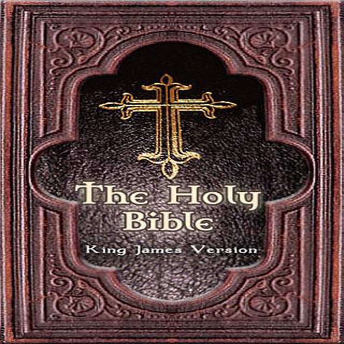 ‎The Gospel of Luke in Spoken Word and Music - King James Bible by TC ...