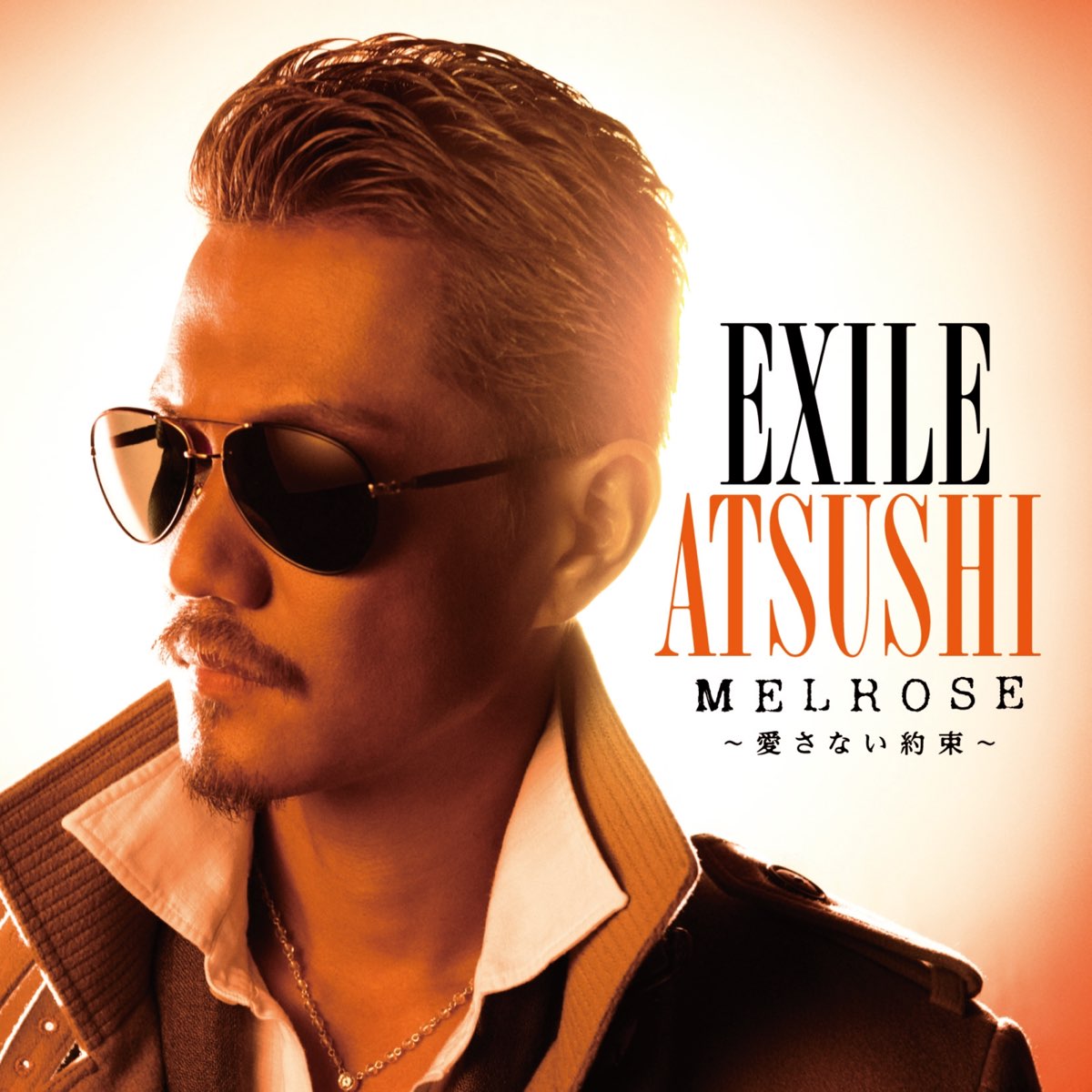 レコードEXILE ATSUSHI SOLO Music Love-