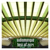 Audiomatique Best of 2014 artwork