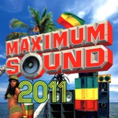 Maximum Sound 2011 artwork